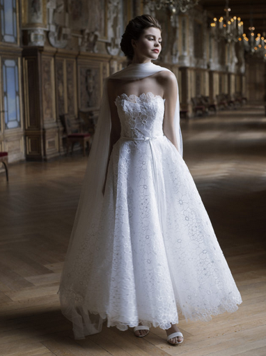 Cymbeline - Bleuet