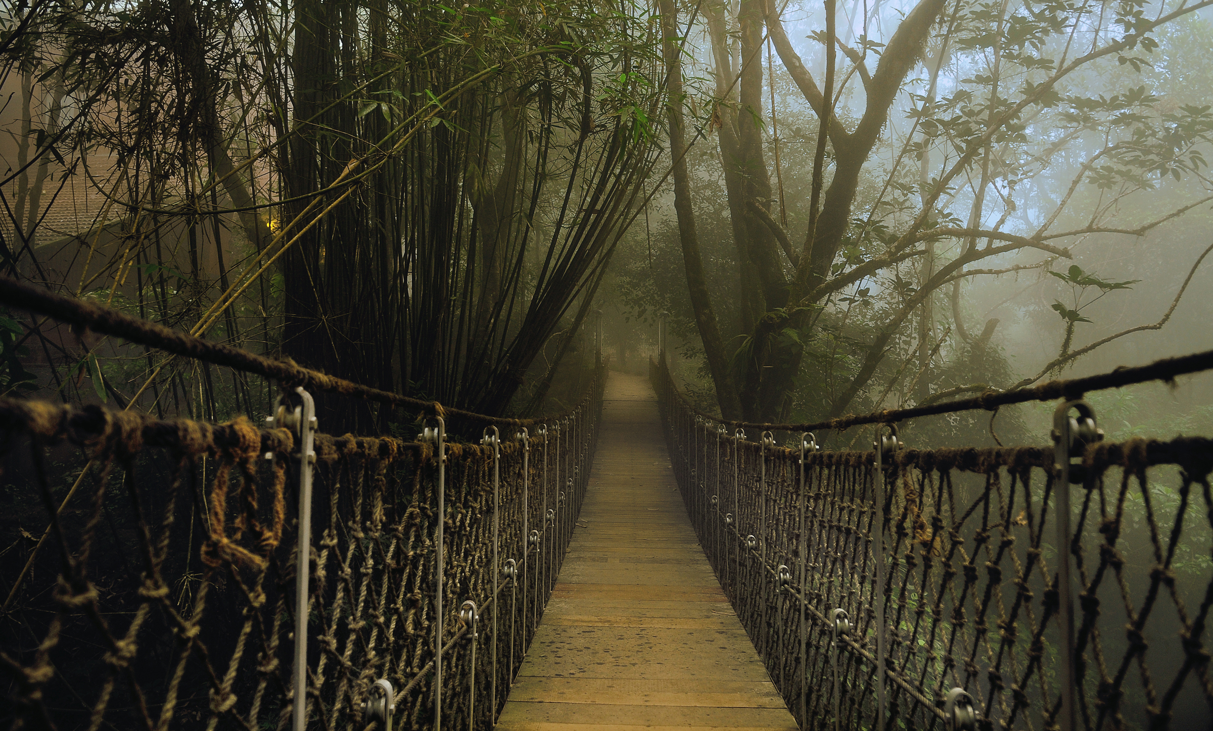 Le Wedding Magazine - ©Vythiri Resort - 5 destinations digital detox
