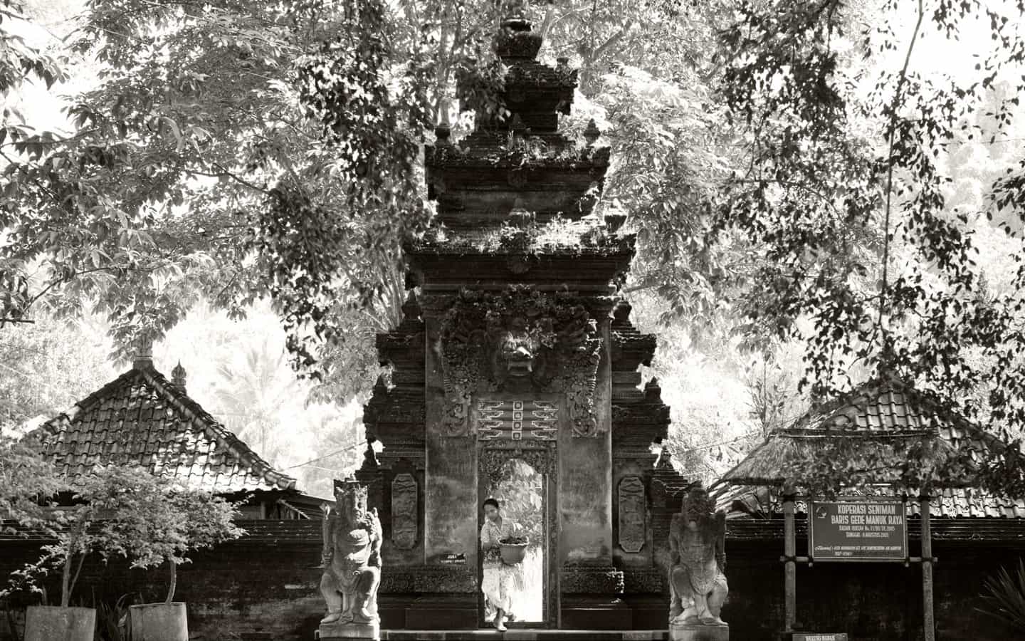 Albe Editions - Le Wedding Magazine - ©COMO Uma Ubud - Bali - Maraige - 