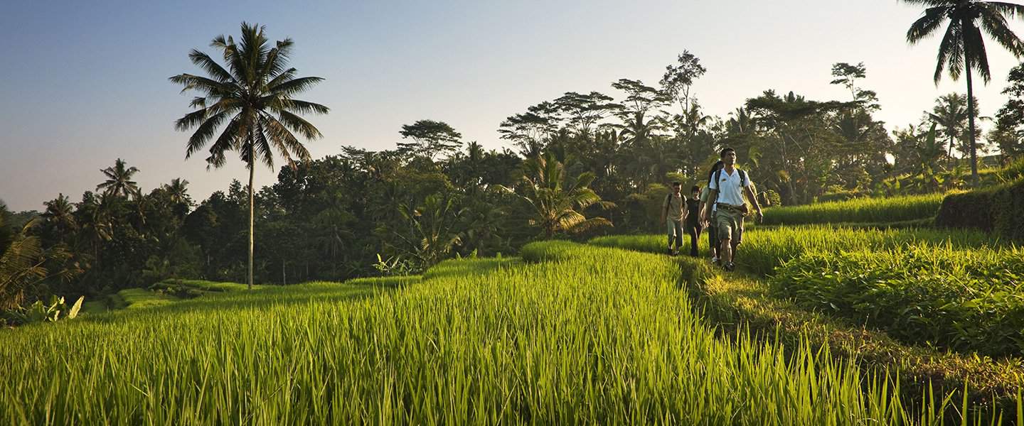 Le Wedding Magazine - ©COMO Uma Ubud - Bali