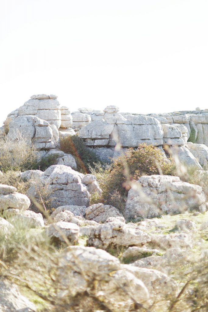 Le Wedding Magazine - ©Louloulou Photography