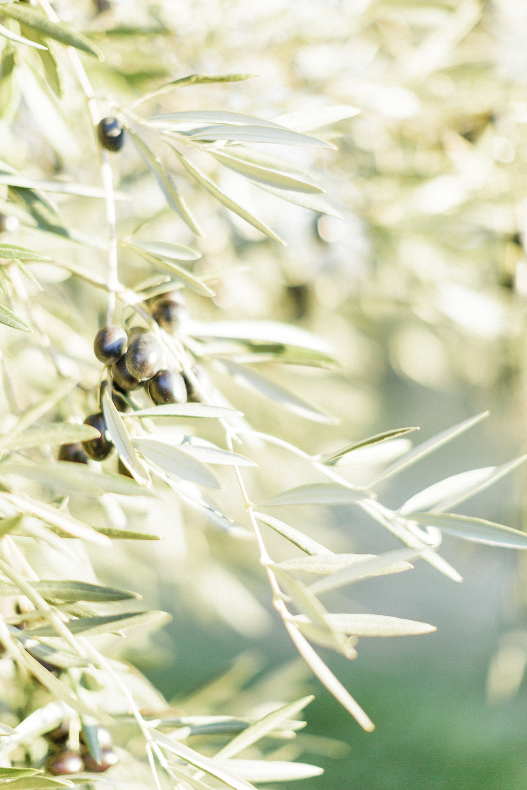 Le Wedding Magazine - ©Louloulou Photography