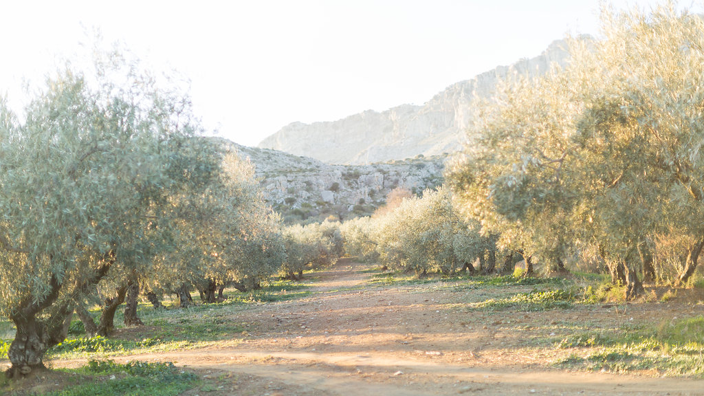 Le Wedding Magazine - ©Louloulou Photography - Espagne