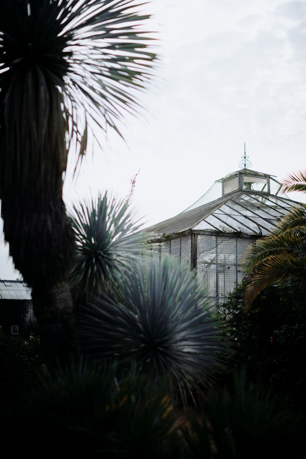 Le Wedding Magazine - ©Amandine Marque