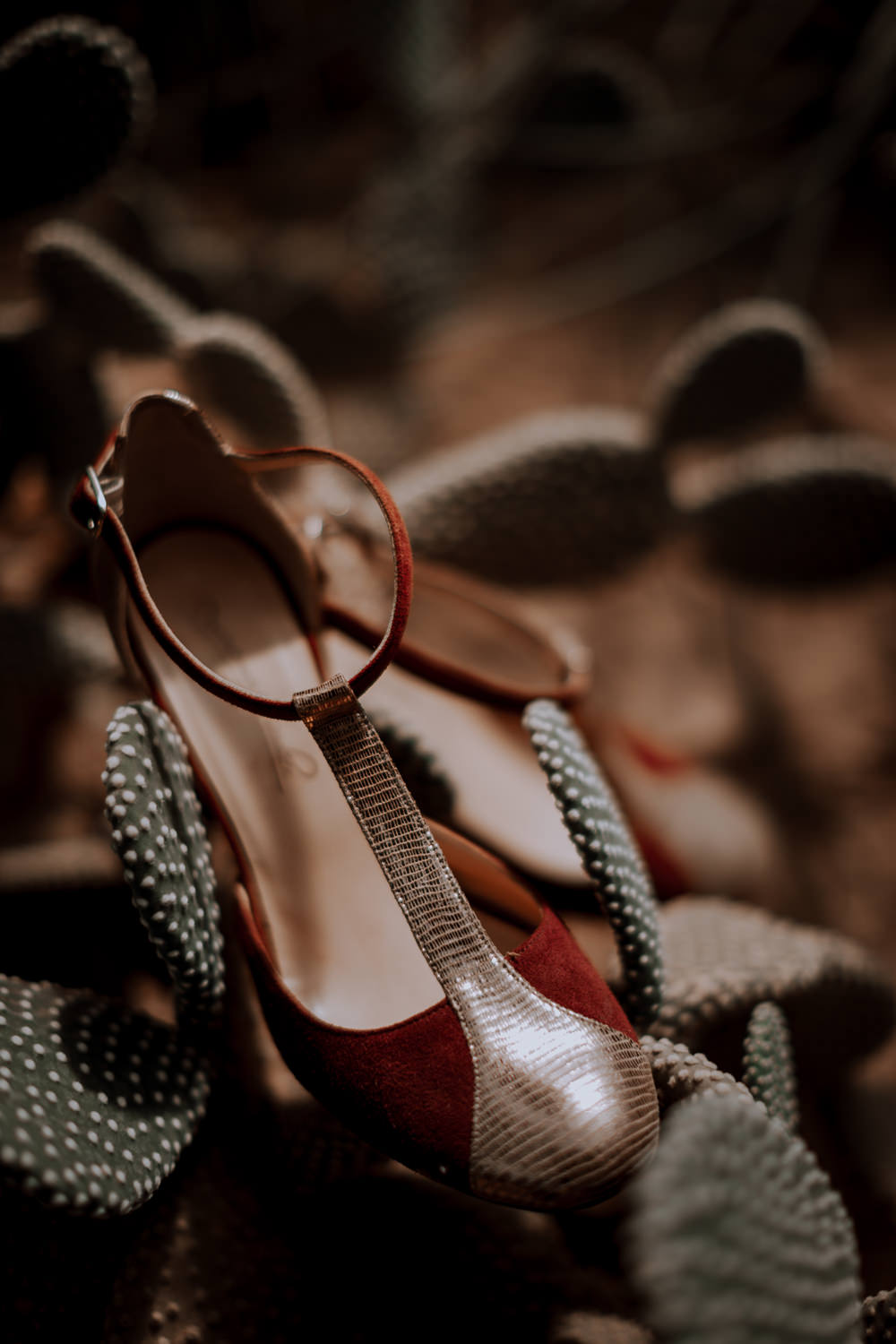 Le Wedding Magazine - ©Amandine Marque