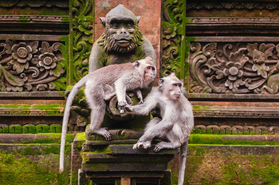 Albe Editions - Blog Mariage - Lune de miel / Voyage de noces Bali - ©Flora & Germain