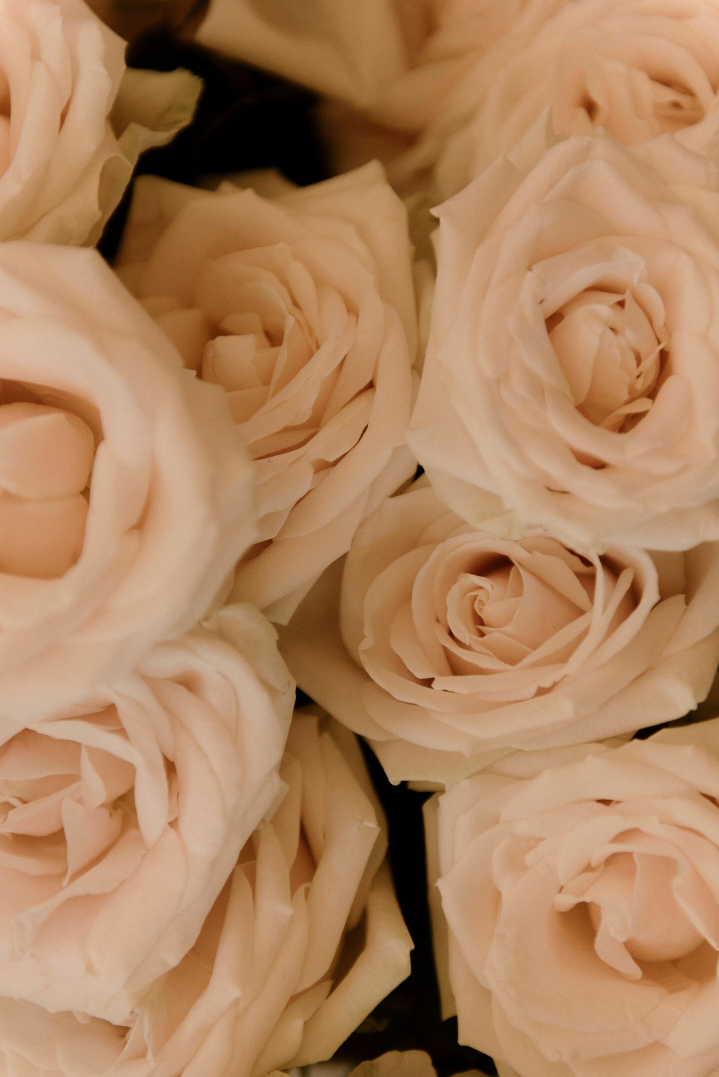 fleurs mariage