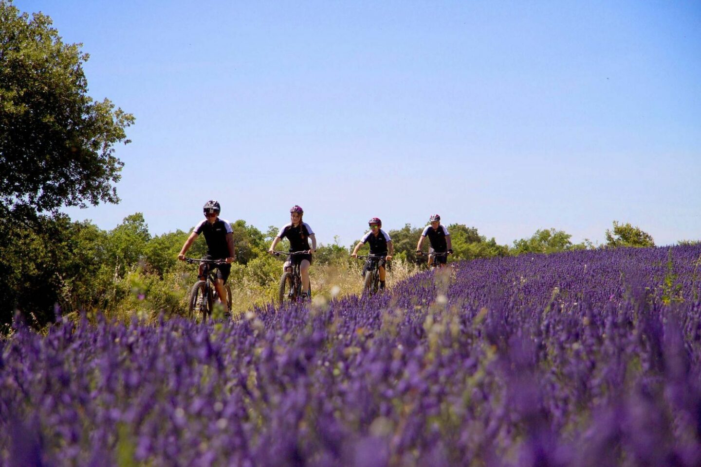 Albe EDITIONS -Coquillade Provence resort & SPA