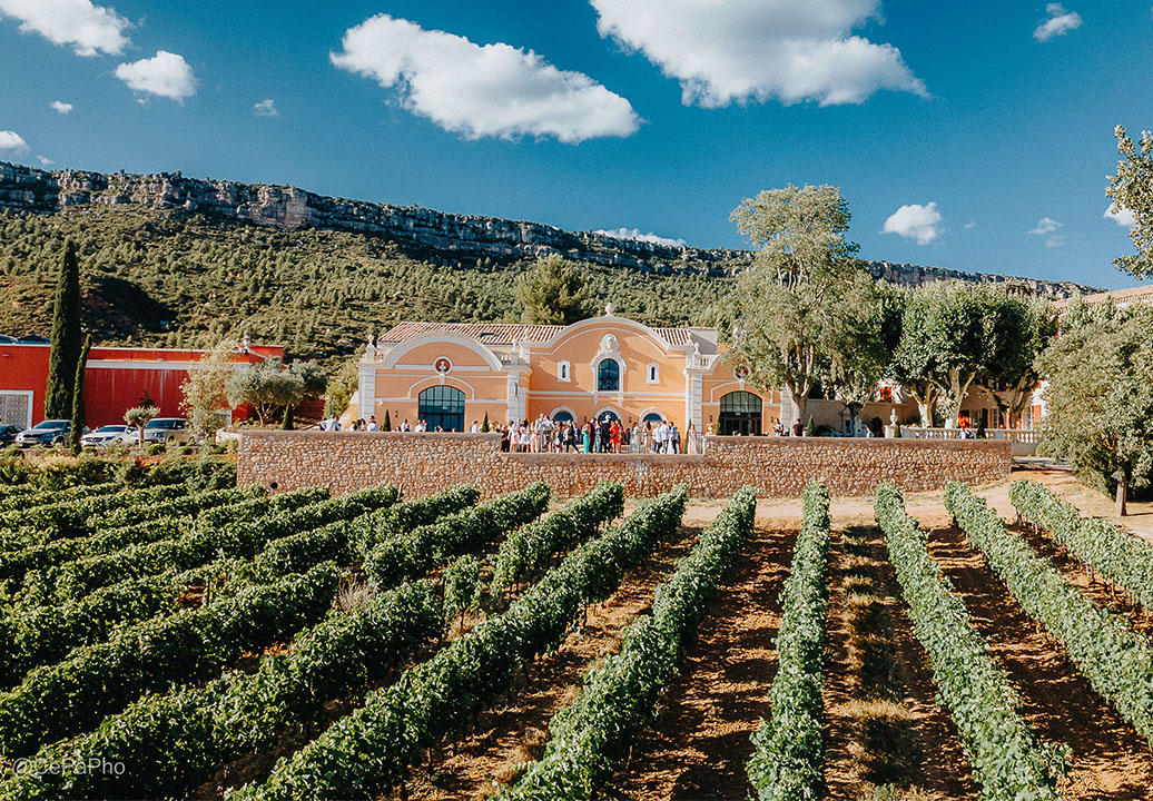 Albe Editions - Wedding - Mariage - Domaine de la Galinière 