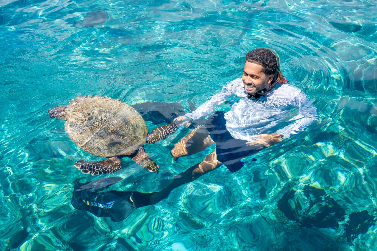 La plongée aux Seychelles