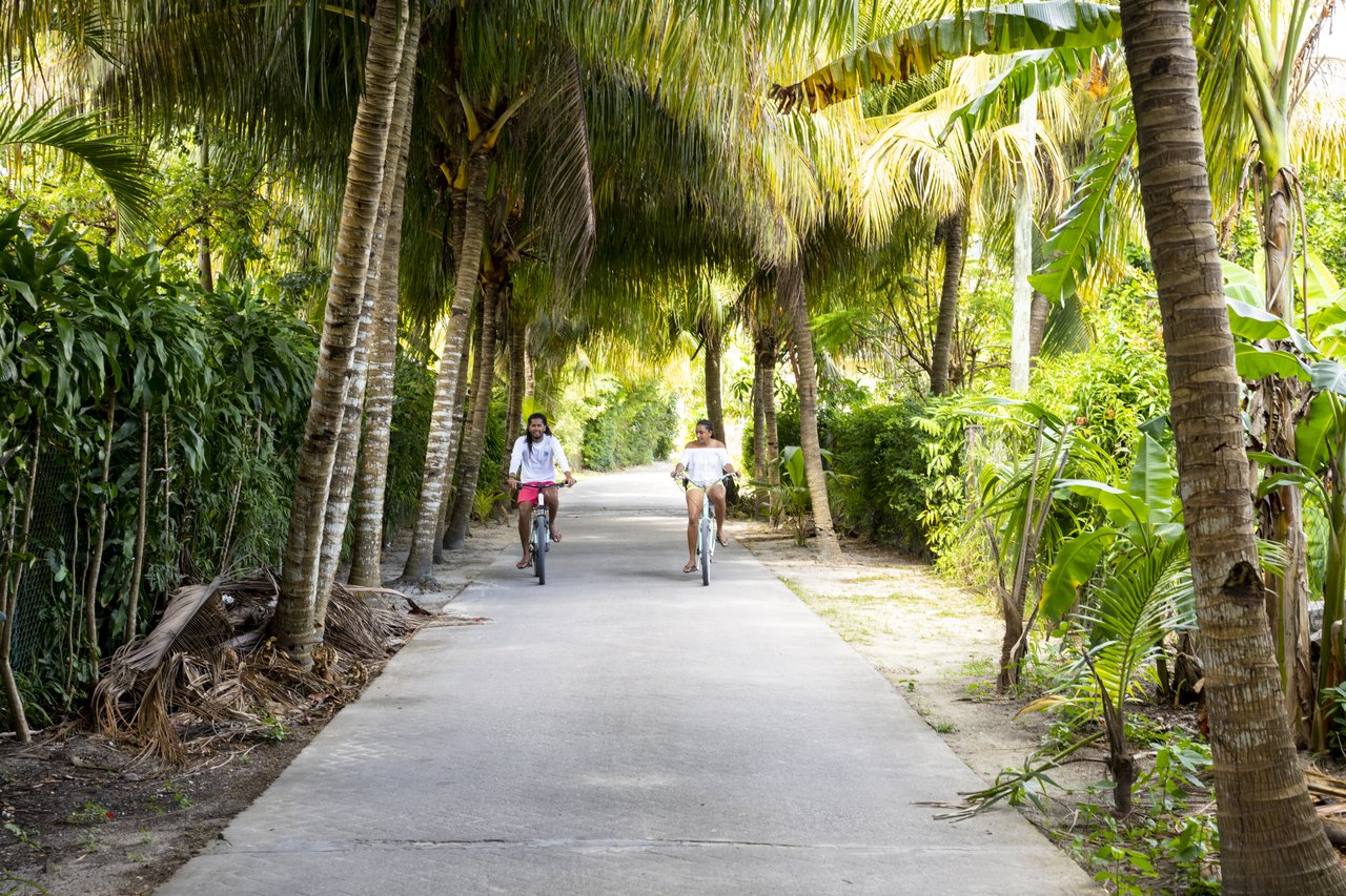 Balade à vélo à La Digue