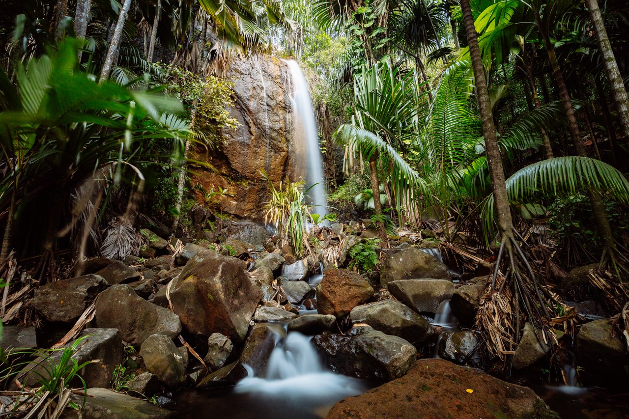 10 lieux et activités incontournables aux Seychelles - La vallée de Mai à Praslin
